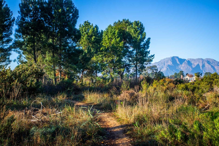 0 Bedroom Property for Sale in Val De Vie Estate Western Cape